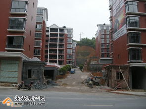 和美家園2015年4月工程進(jìn)度播報(bào) 全面進(jìn)入竣工驗(yàn)收階段